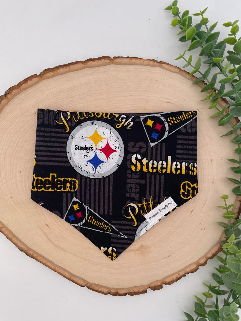 Pittsburg Steelers